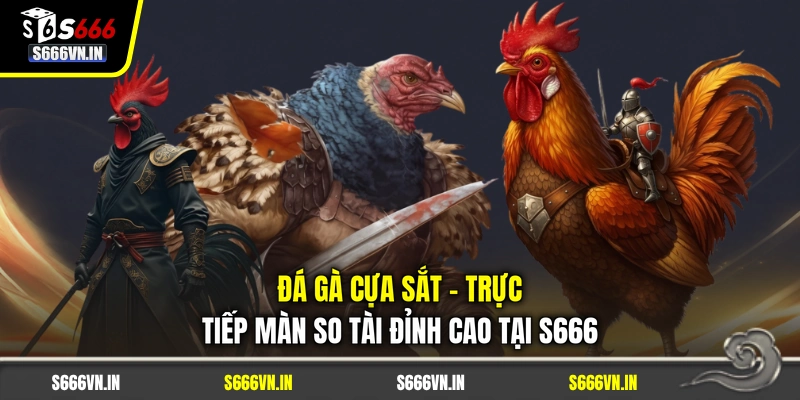 Đá Gà Cựa Sắt - Trực Tiếp Màn So Tài Đỉnh Cao Tại S666 1 Đá Gà Cựa Sắt - Trực Tiếp Màn So Tài Đỉnh Cao Tại S666