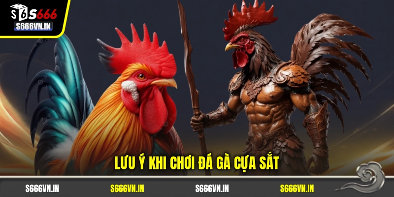 Lưu ý khi chơi đá gà cựa sắt Lưu ý khi chơi đá gà cựa sắt