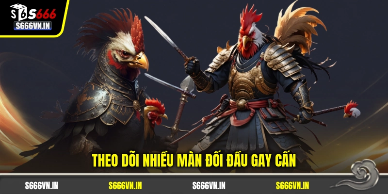 Theo dõi nhiều màn đối đầu gay cấn